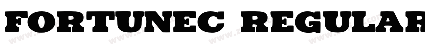 FortuneC regular字体转换